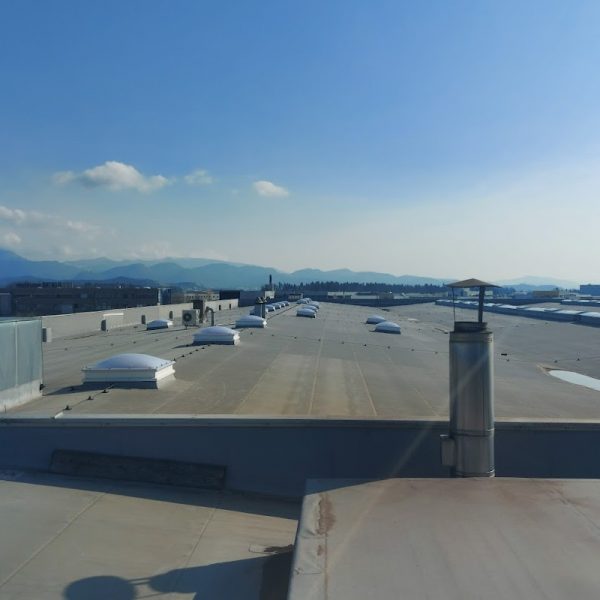 Referenca 12 600x600